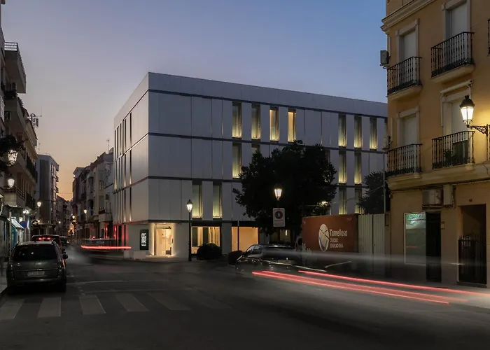 Hotel Ogar Tomelloso