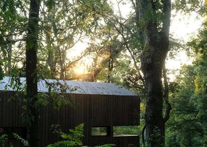 Cabañas en Ribeira Sacra, Borbela de Luz