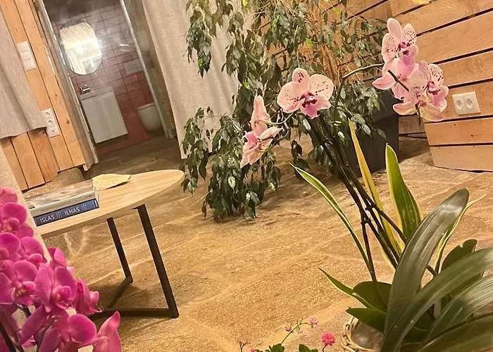Estudio Outón 2 Muros