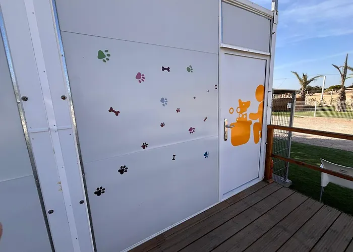 Lomas de Balsares camper Park