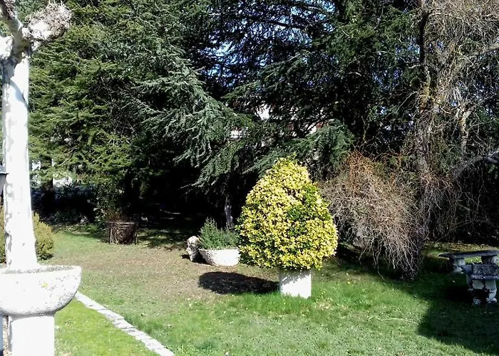 El Pinar de la Puebla de Sanabria