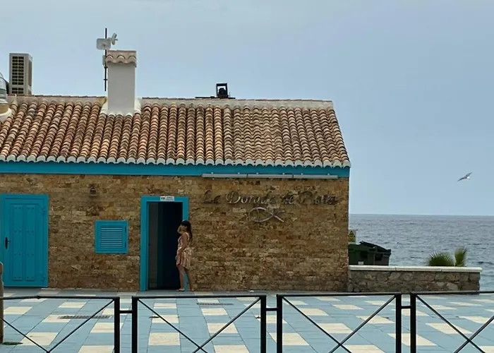 ESTUDIOS ChinaSOL
