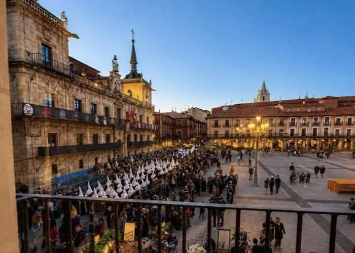 Arquitecto de la Vida I - Plaza Mayor