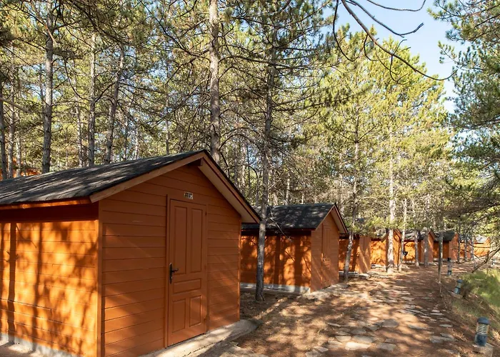Camping Las Cabanas
