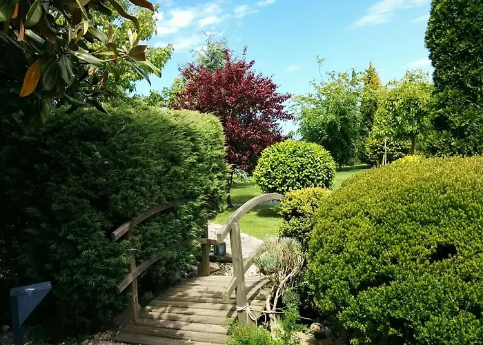 Hotel Jardín de Aura