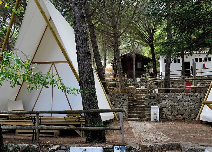 Camping Tajorodillo