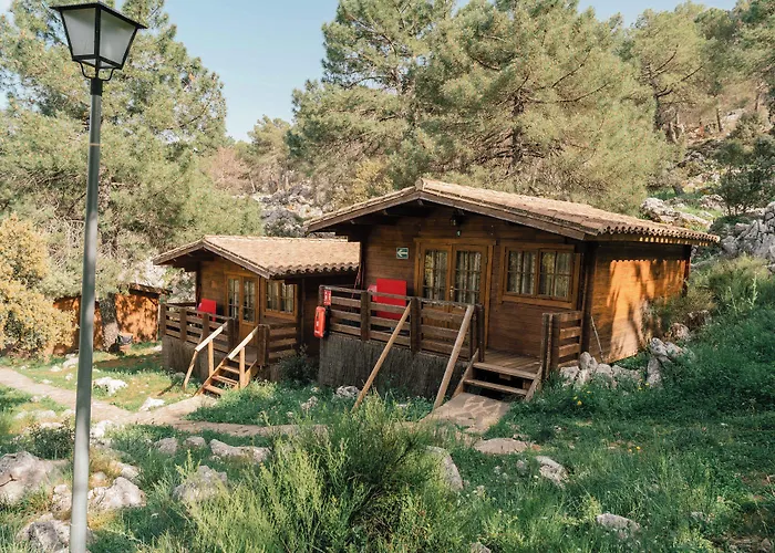 Camping Tajorodillo