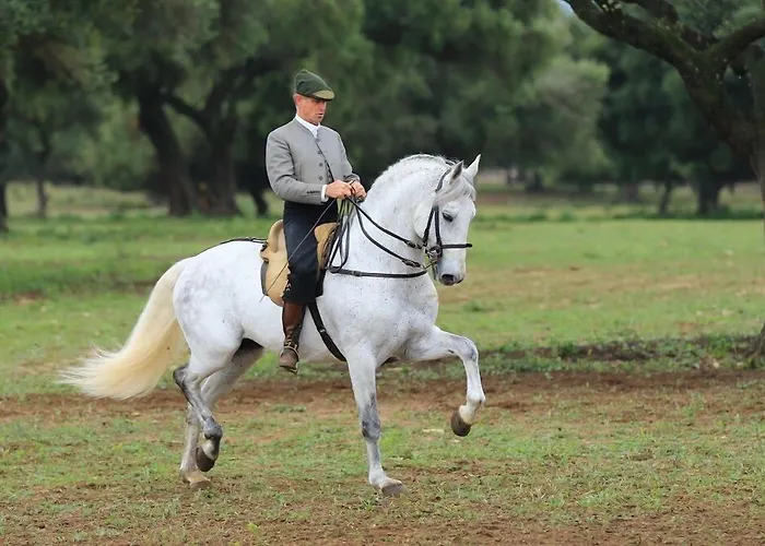 Posada Alegria