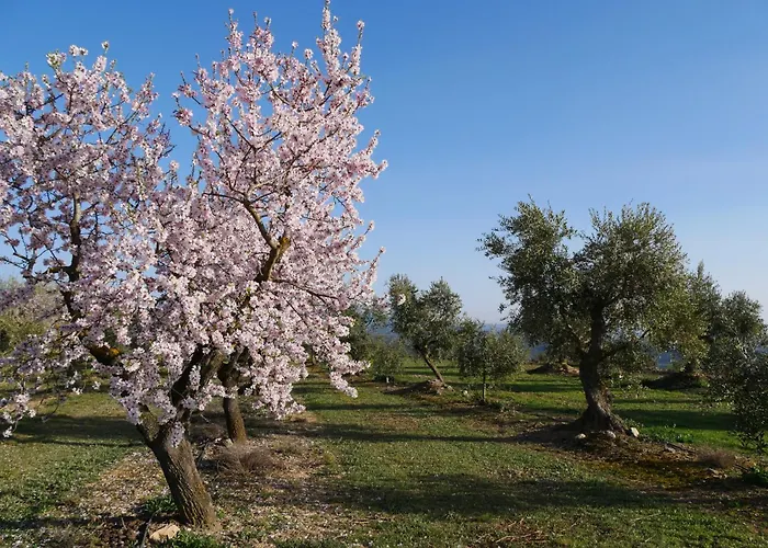 Alberg Garrigues Altes