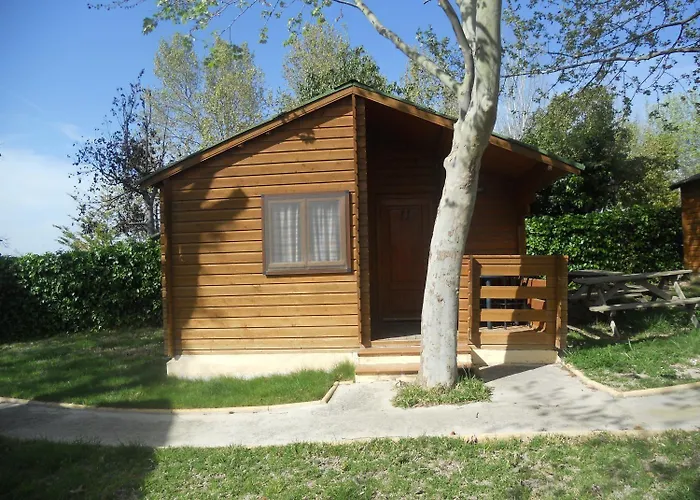 Camping Fuente de Piedra