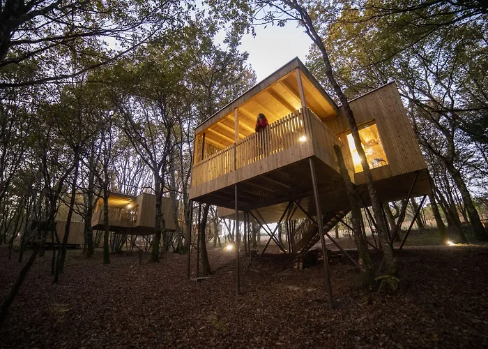 Cabañas Enoturismo María Manuela