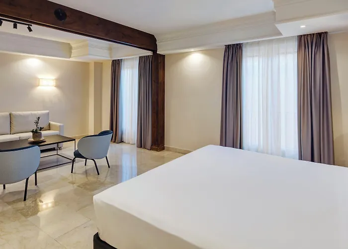 Hotel Sercotel Alfonso VI