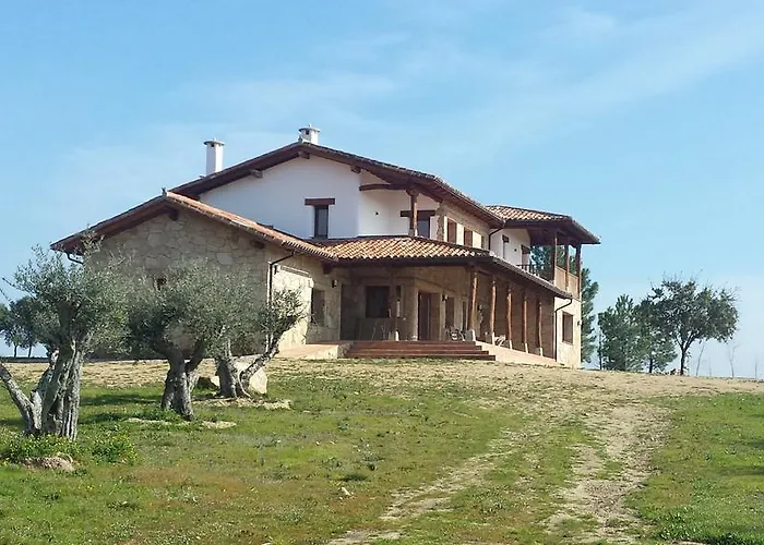 Sakura Vera