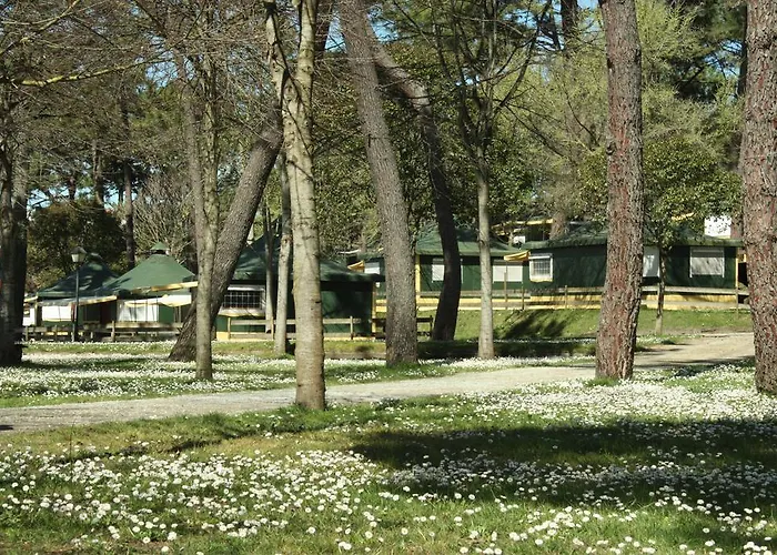 Camping El Rosal