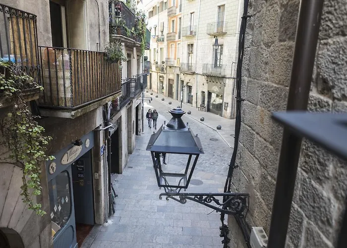 Bravissimo Cort Reial-1A