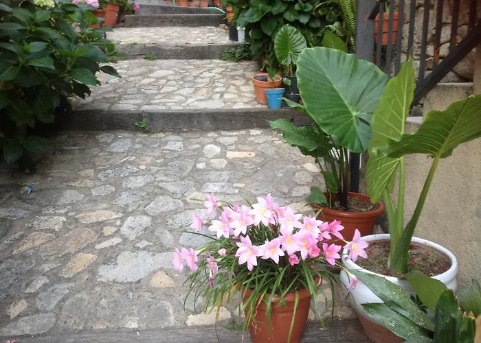 Apartamentos Anateresa