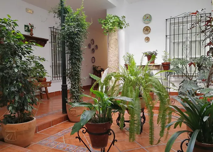 Hotel Maestre
