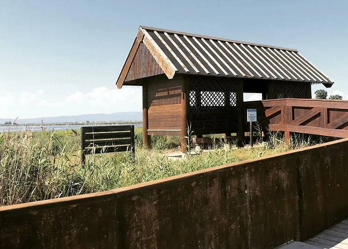 Albergue Delta
