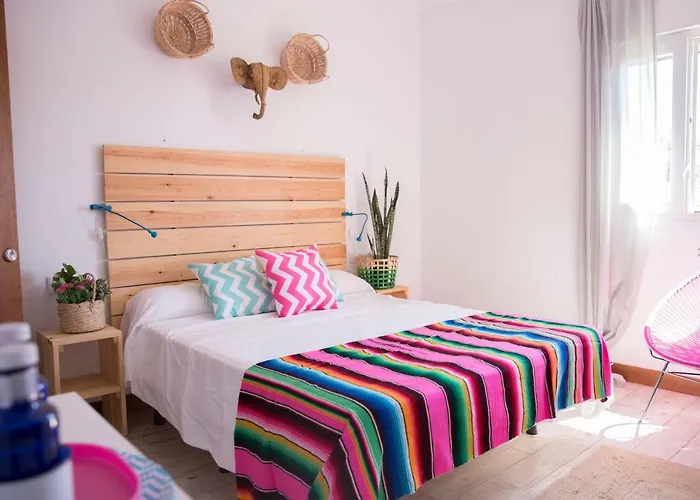 Nexo Surf House