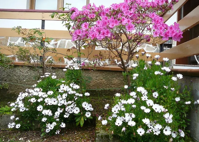 Hotel el Pinar