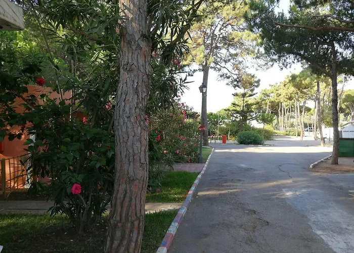 Camping La Buganvilla