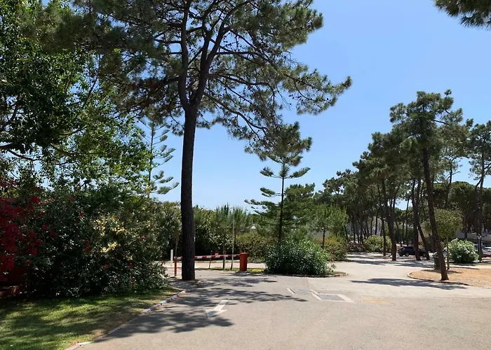 Camping La Buganvilla