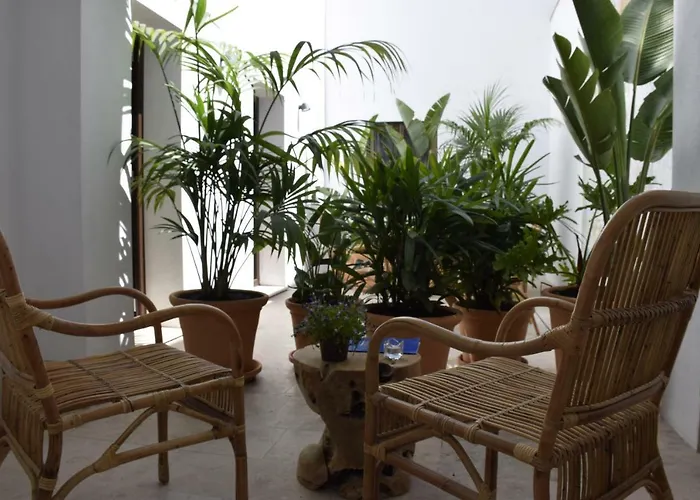 Chacon Apartments & Suites