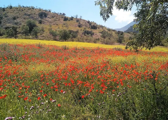 Mágina Dream La Guardia Turismo Rural, consultar antes de reservar!