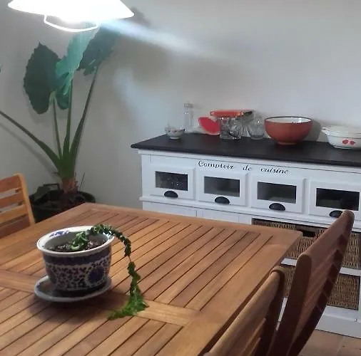 Apartament 4 Gats