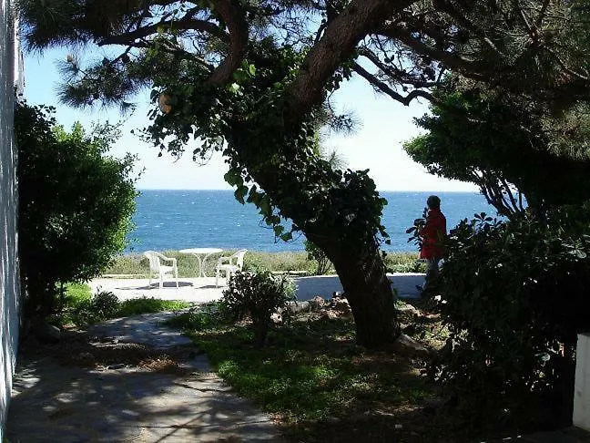 Estrella Del Mar