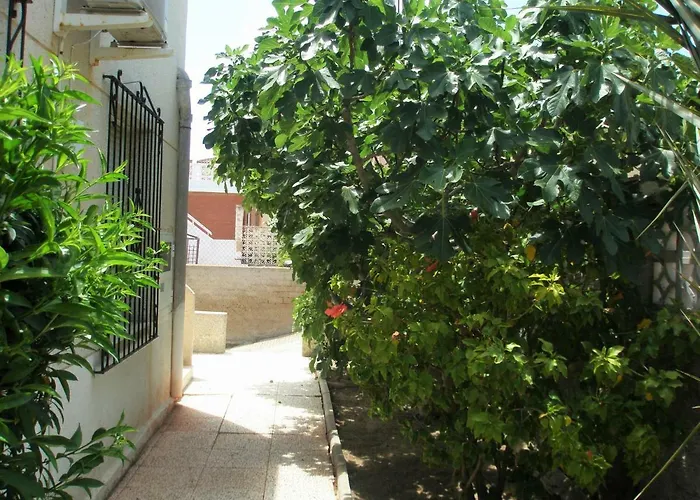 Pitera II