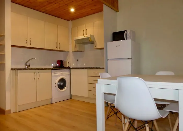 APT5 DÚPLEX Acollidor al Centre de Vic APTGARBI