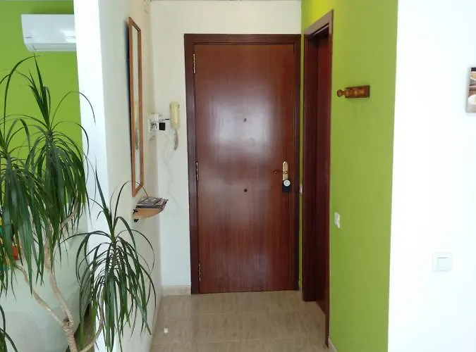 Estudio En El Centro 0