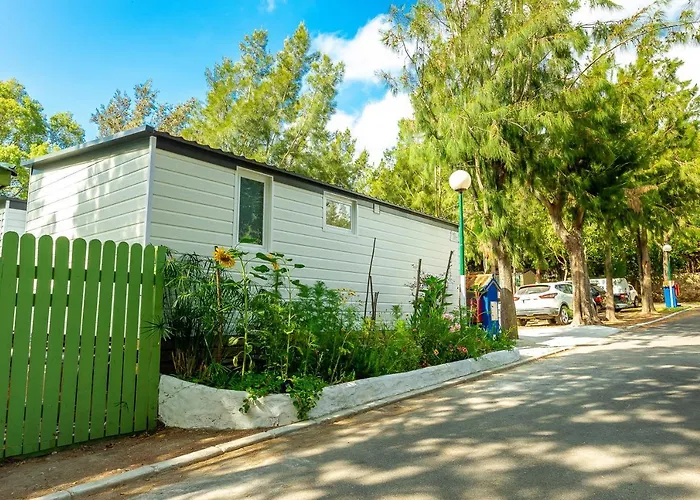 Camping Paloma